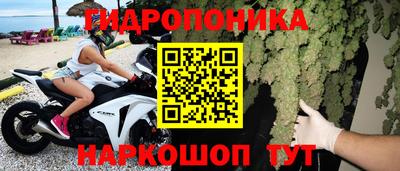 стафф Можга
