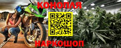 стафф Можга