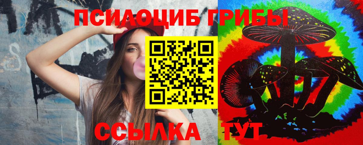 Воскресенск  Псилоцибиновые грибы MAGIC MUSHROOMS  Вход с VPN 